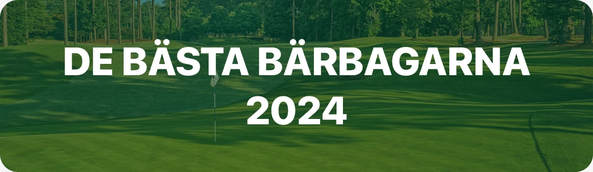 De bästa bärbagarna 2024